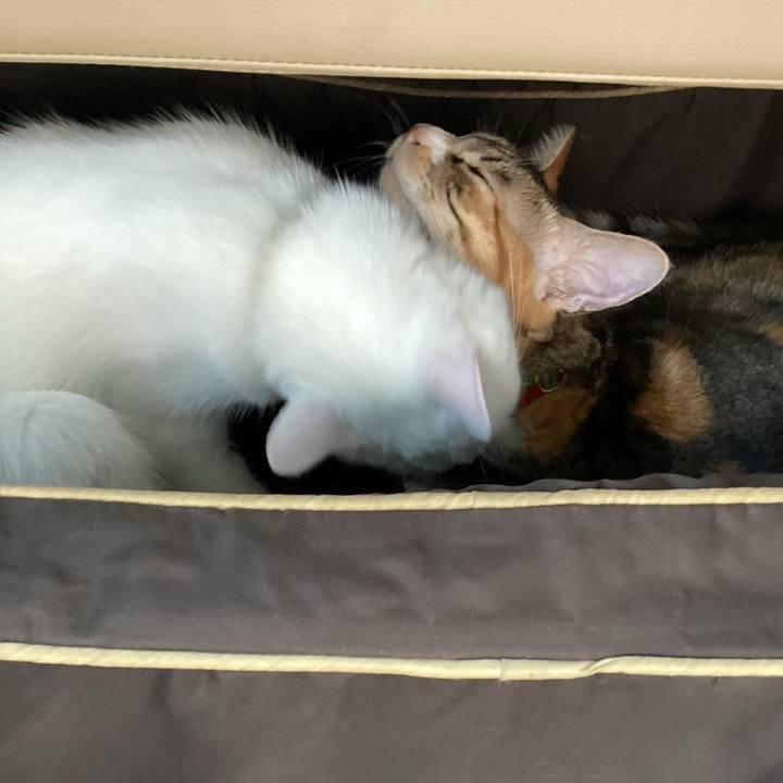 6f82e529 317c 4827 b61c 506c590c4c73 1667439896317