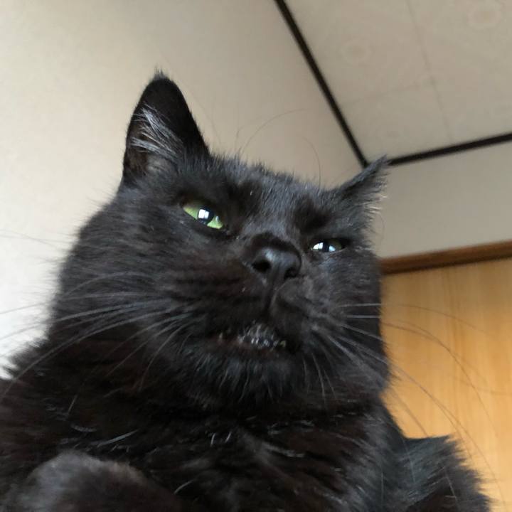 6f83912b 716f 48bc 9caf 007e3fa707df 1602455269972