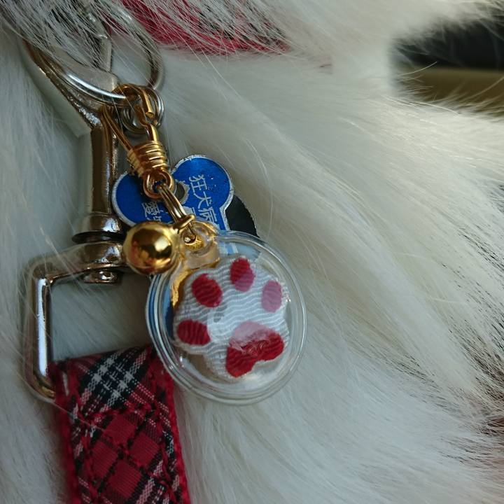 6f839a1e 12ea 420c bec8 bb9510eb41b6 1546573700401