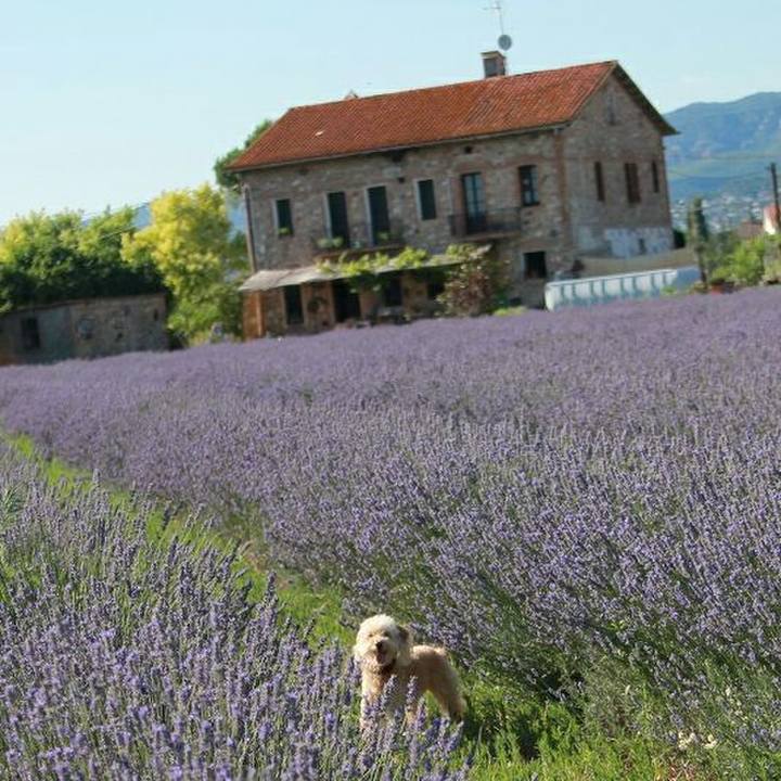 6f839e02 77f1 478c aef4 3044753e2664 1594239209181