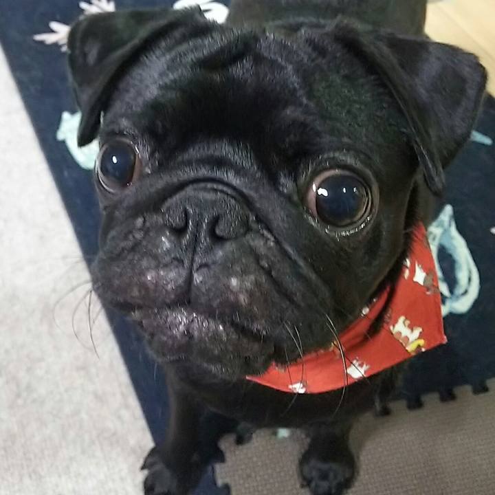 6f839fa3 164b 4177 a2b9 e14f6fef7c8f 1536582588006