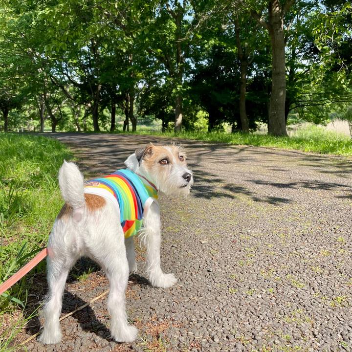 6f83b2f6 da8e 4e11 8451 5efb1940804f 1682924912119