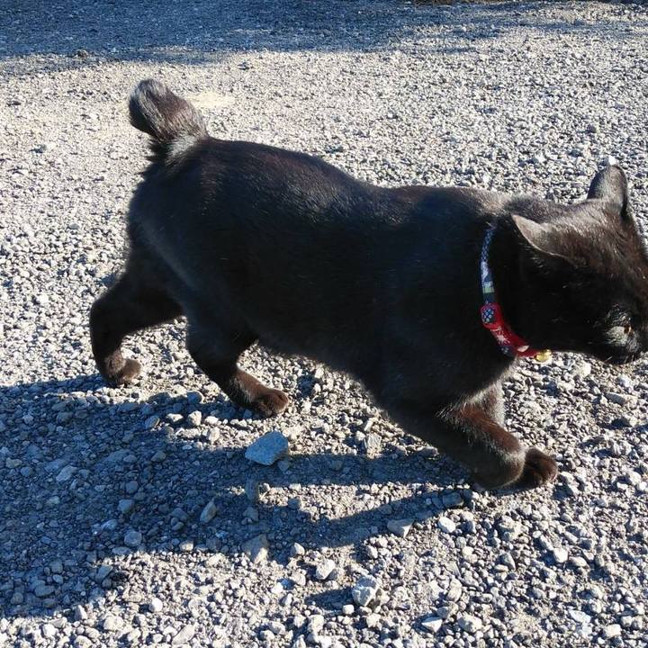 6f83c608 8a24 4237 a5d1 27bd641ba144 1573775993766