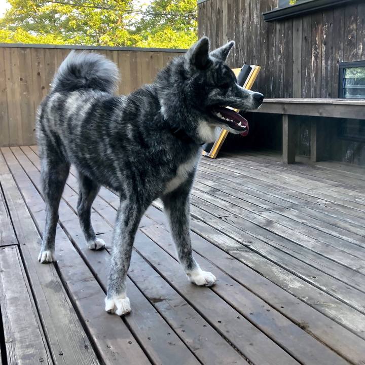 6f83d078 232d 4eb0 a7d1 5d23a204a0c6 1565307256912