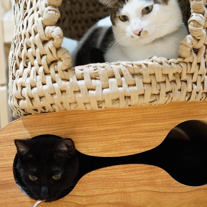 6f83dc28 fec5 497c b901 0ba13154f7fc 1550811325304