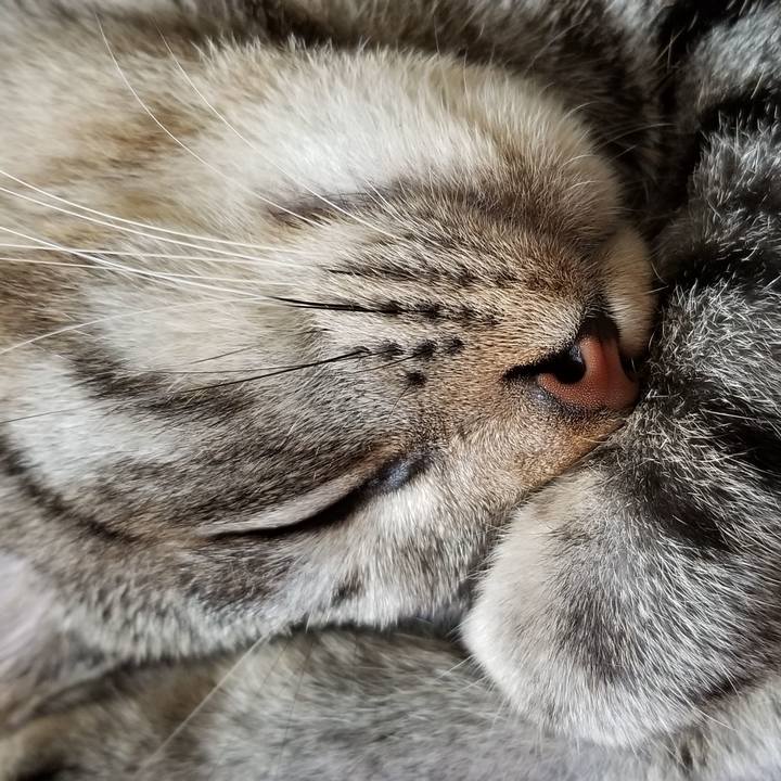 6f83eb23 55b1 4162 bce4 a3a70a96bf62 1691388922031