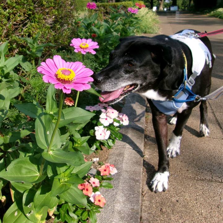 6f83f822 e2c8 48f1 9f1a b5e58d276ee4 1754265449680