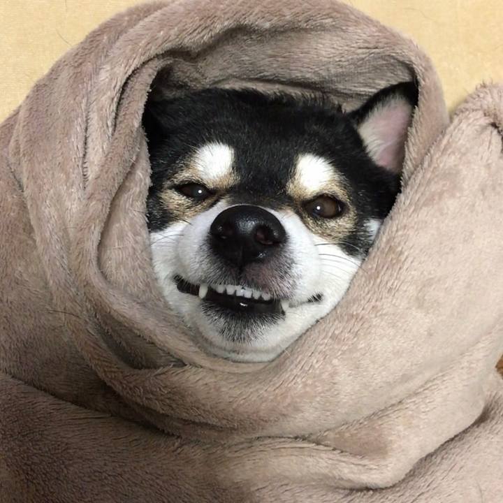 6f84023f 6833 4b29 963c 0493e60c48c8 1573914886569