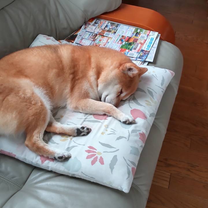 6f8428ca a04f 4ea5 a3db b3de74beec75 1749437924361