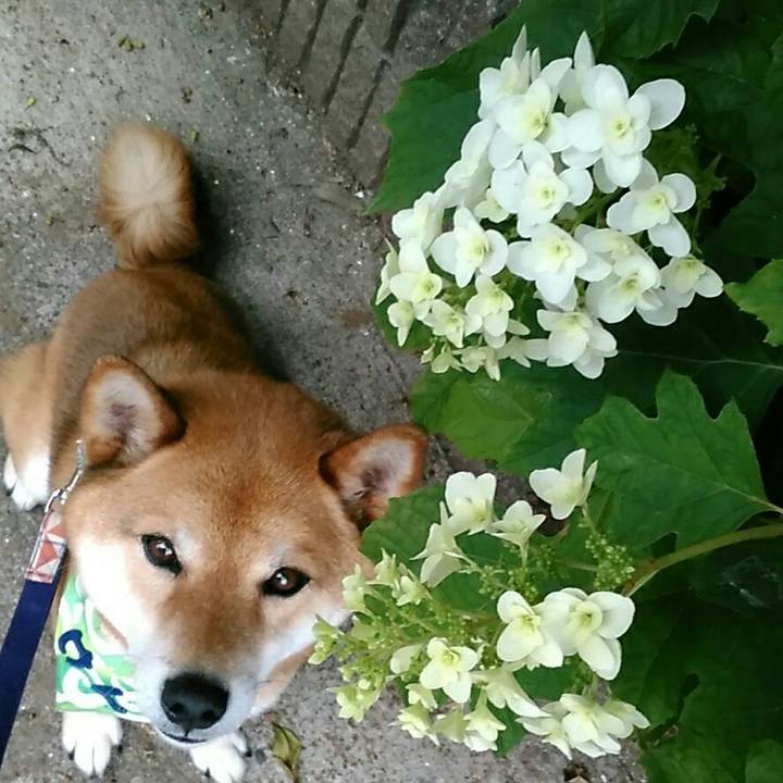 6f843610 a685 4756 a4bd cc9a9e68d58c 1559525492054