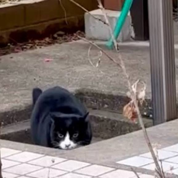 6f849b5d 870d 4720 a9b5 8b75288cf2f9 1767604434899