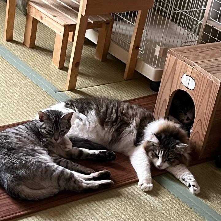 6f84e8f1 b67e 4765 b8b9 9e67b7ac89dc 1740372227286