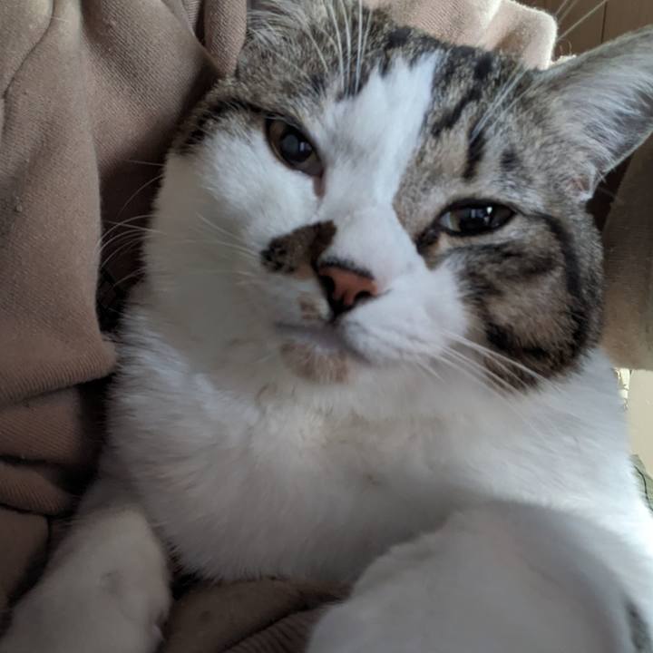 6f84f48a 76b4 4038 b60d cd2e69a20cb5 1701300264109