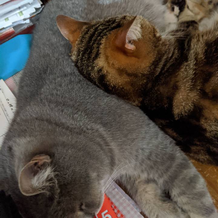 6f84f53f e93f 4268 ac15 360badd346c4 1588684462646