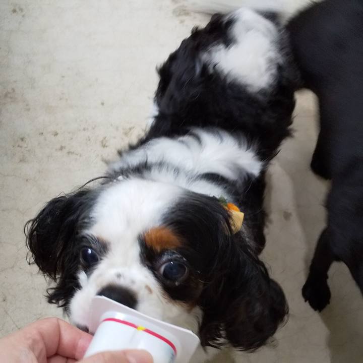 6f850bab 22c4 4cf6 883e 5472dcb9fa0b 1562119849652