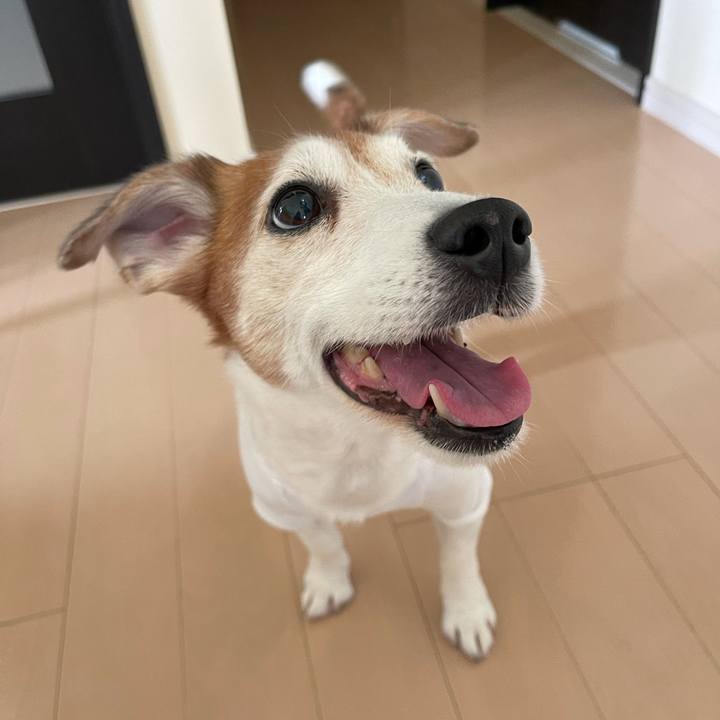 6f8510b0 70b5 4a26 8fc7 14d3b9e8506f 1627087280931