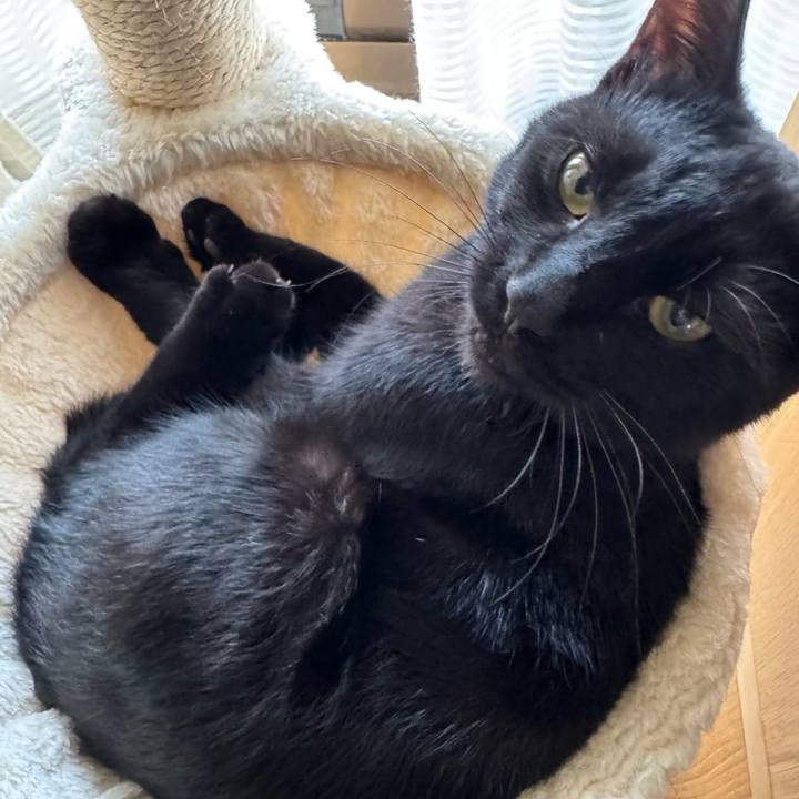 6f8516e7 e05c 4519 83a9 34fa6af1a7e2 1741658854714