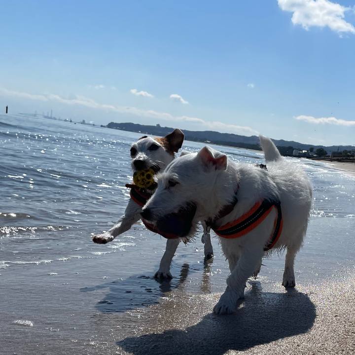 6f851dae c97d 42d8 a717 d08cd68bbf69 1773193724932