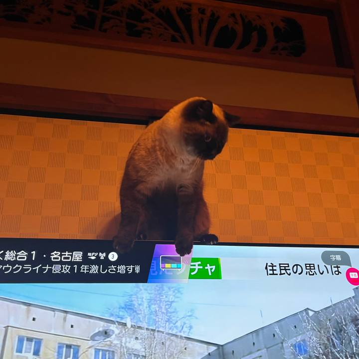 6f852bd8 6c27 4a74 913c 9f4db98733da 1677280458542