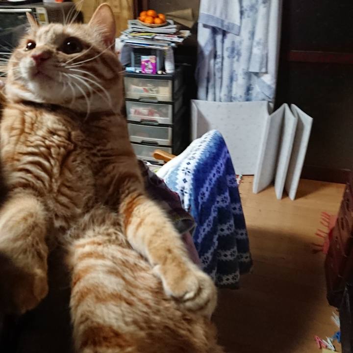 6f853a15 ecb8 41a7 aa56 89c89cce4ea0 1646396478394