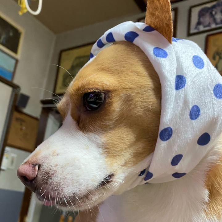 6f85822b f0a0 4711 acc5 fb4530b3c4a7 1591671112043