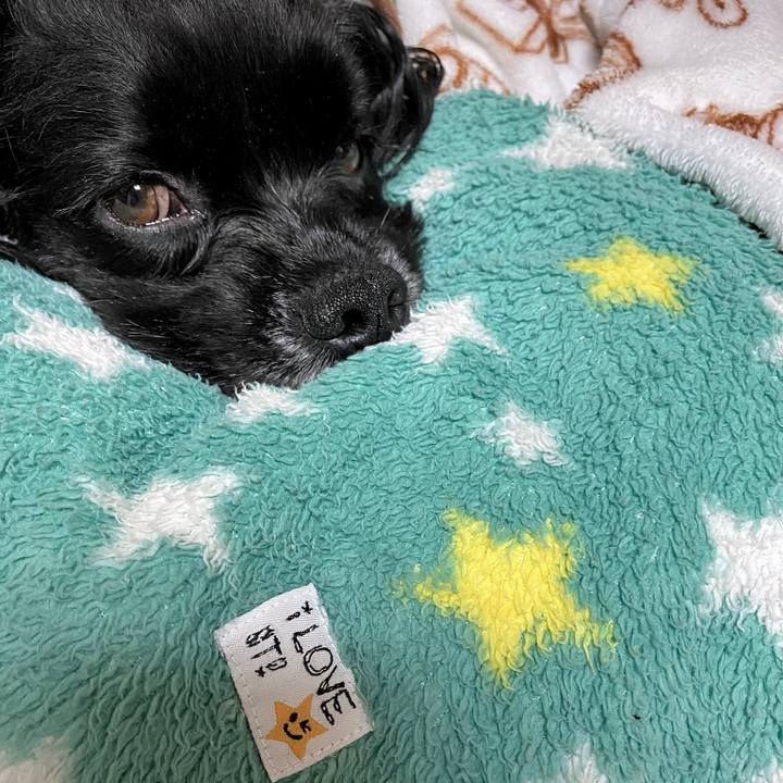 6f85985a a586 43e1 adb3 3db01c7811cc 1578925606047