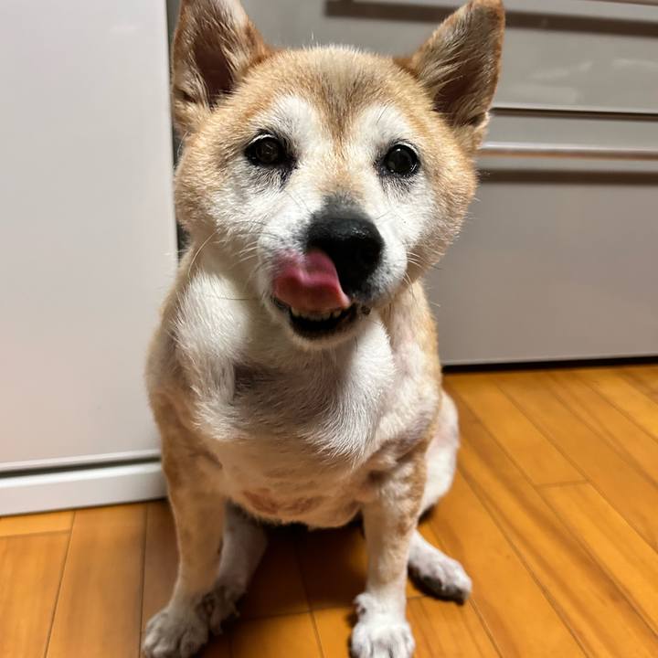 6f85b175 bdf7 4476 b0fa 510e7d68c314 1755601480955