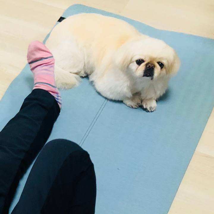 6f8608b4 bc01 4810 b98f 19f0b5be0d8c 1588569754239