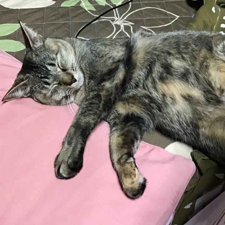 6f862719 3c80 483c 9a52 8207b76db6b4 1587985193655