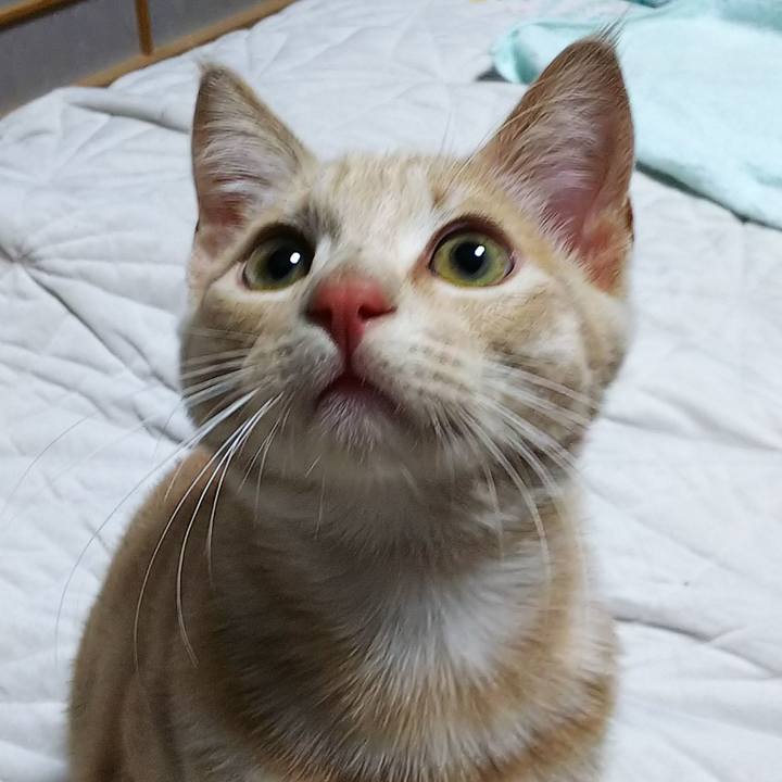 6f864f96 cc57 4bde a908 5e2f7339f036 1543407691743