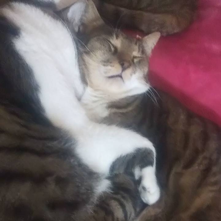 6f8682aa 111a 4827 a378 79be26f2325b 1698042803971