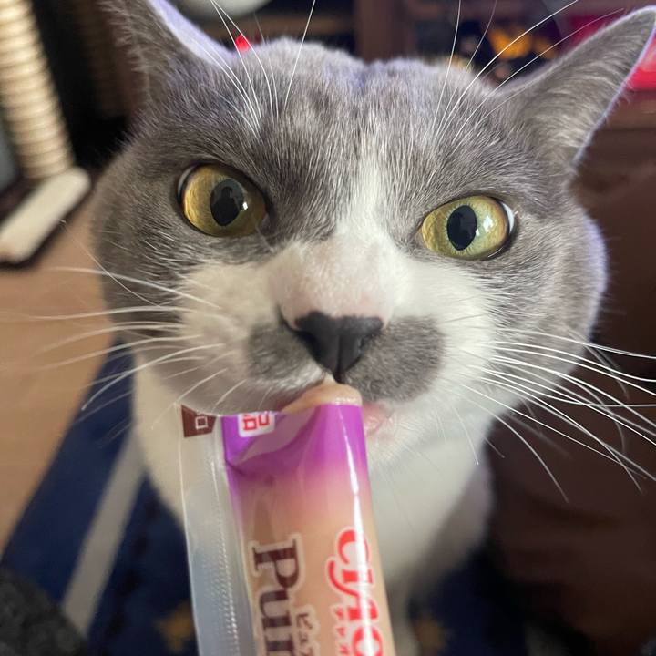 6f8695d1 bad9 4309 bfd0 588dbdc95909 1670144714590