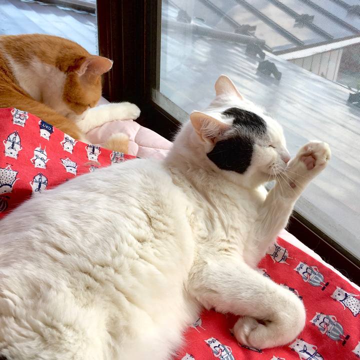 6f86c04d f8df 4795 b51b d104b5eb48c3 1584339948476