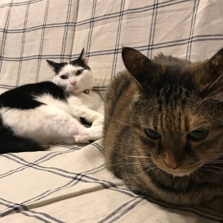 6f86e36f b5eb 459f 9a19 4869c22de87f 1553096524108