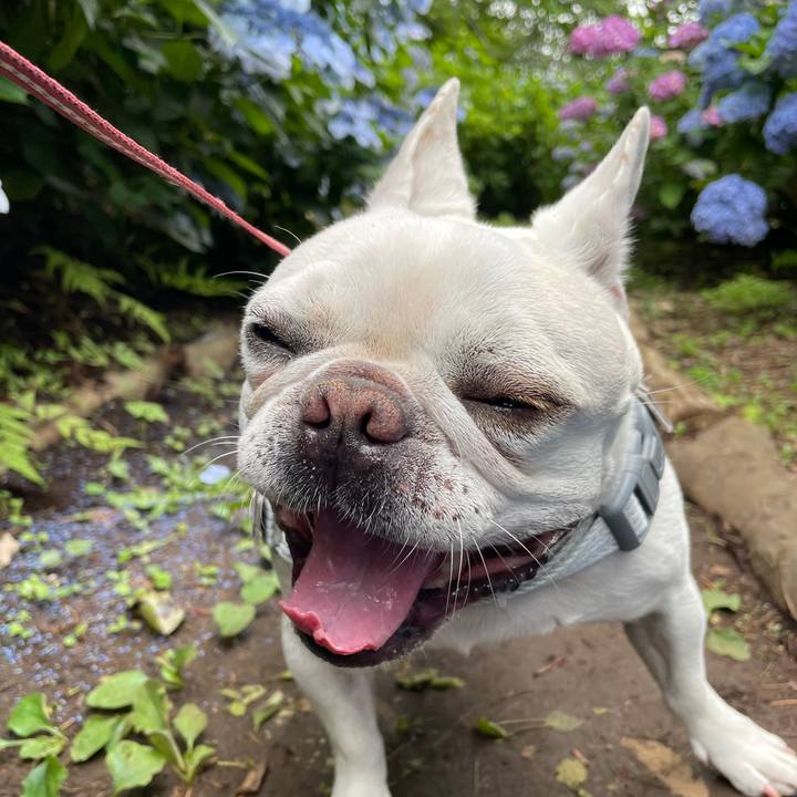 6f86f01e 9fd6 4bcb 81c2 db58fb824dc7 1749855641392