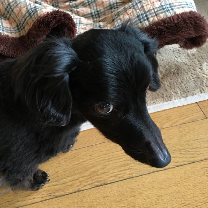 6f8737dc e7ff 4d5f 9a48 89f898b70f1d 1523918597244