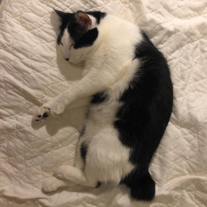 6f873b2d 2168 43a8 882b 00b00aec539b 1558886860134