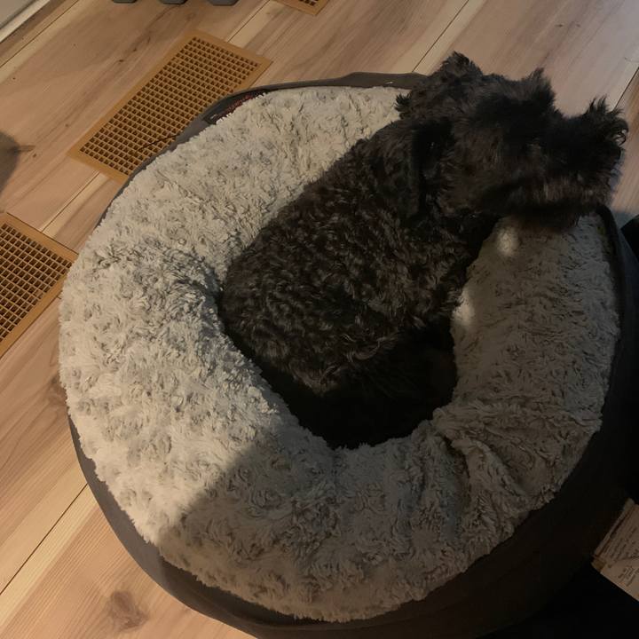 6f87abd8 100f 4dc4 8398 c3a87d8ee107 1631755128336