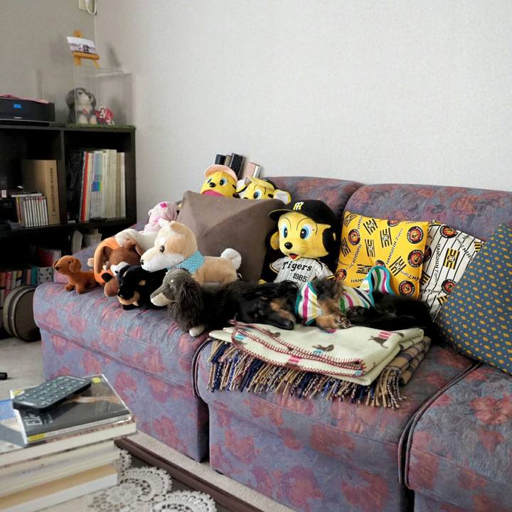 6f87ca72 8797 4a66 b19a f01ac0752ebb 1557904484411