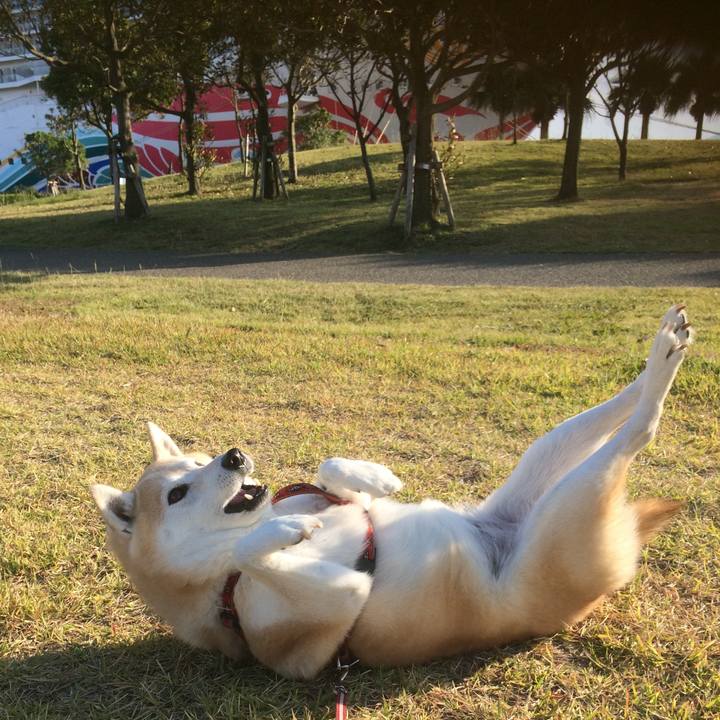 6f87ce8b 51ad 4829 ab1a f159e321bf94 1573834052125