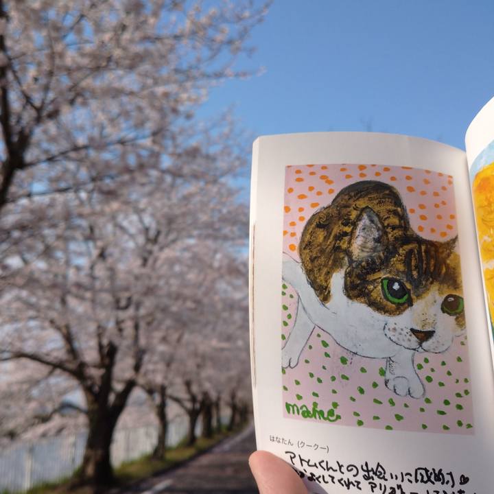 6f87d1a4 ccc0 47b4 8403 4d2242b69ce9 1585993672152