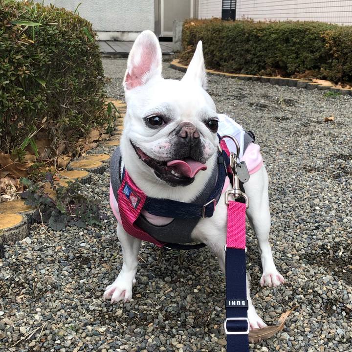 6f880d33 5ad8 4633 8496 573ce63f7b50 1582366504070