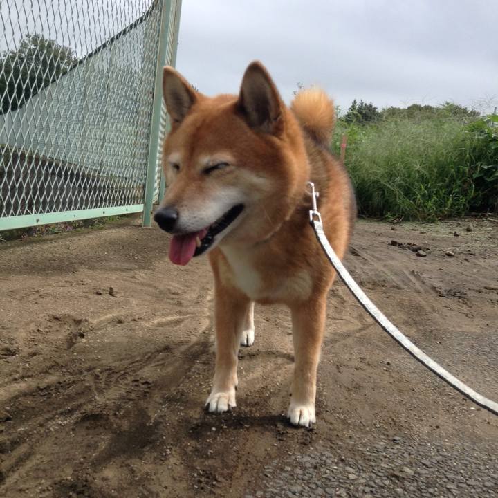 6f88267a e615 4400 8a15 308ea34b34c3 1537753203765