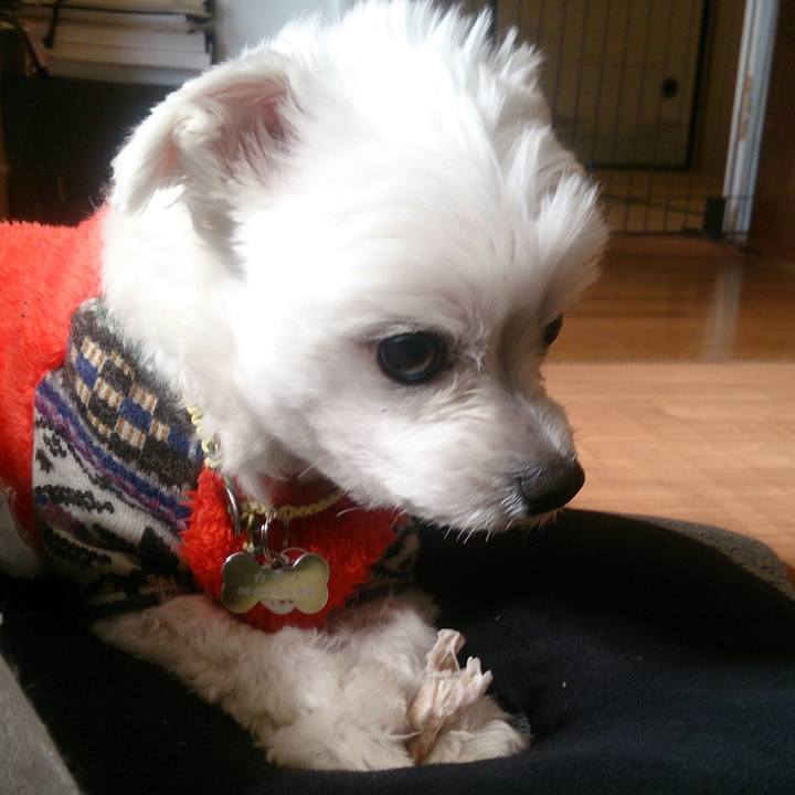 6f884a8d 91c7 442e ad5a 5035e916201c 1516103889383