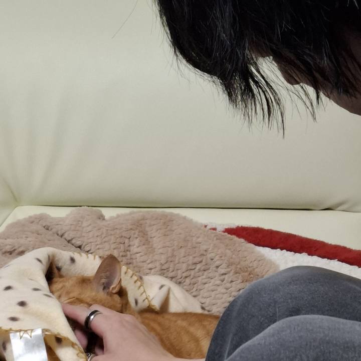 6f88803f 260e 4477 a50b 85d1ae127a0e 1735547069963