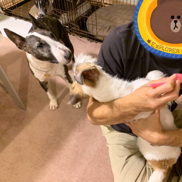 6f88af01 02a9 4bfe 9cc9 6e2558cce0d9 1572180621329