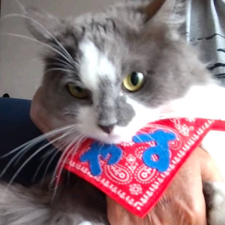 6f88b4ae 5167 43b8 9569 2928f4b79cf0 1628906618903