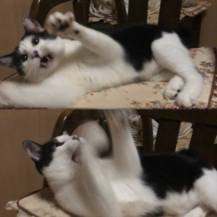 6f88b4b2 2382 404a 98a1 3fea1e9dcf4a 1565019962787