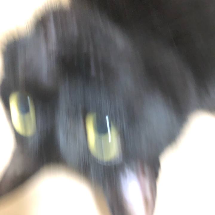 6f88b650 6e57 459f a74c 6084073b536a 1589980290164