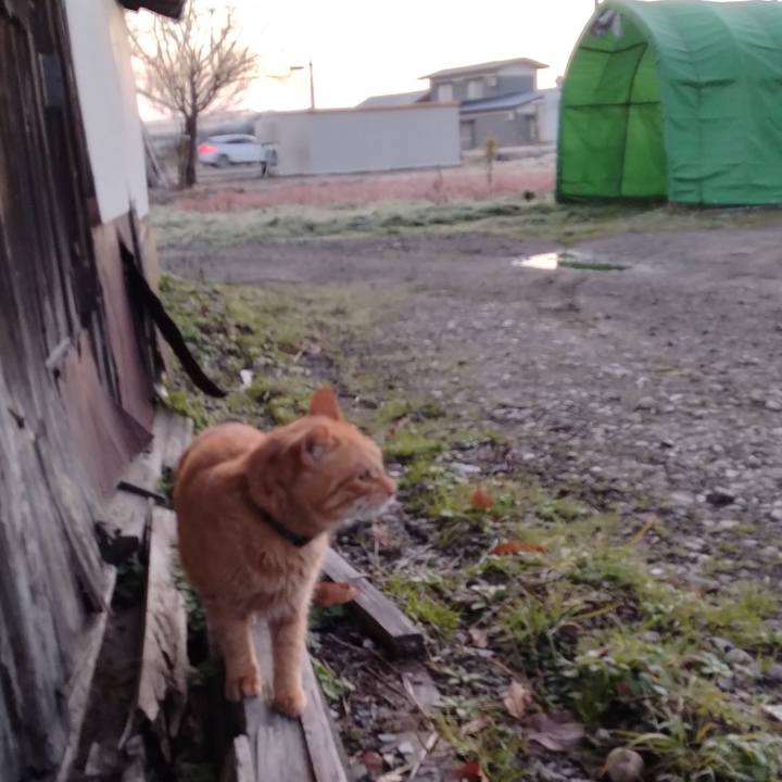 6f88c196 df39 456d 8476 4cef548a84fb 1669590307997